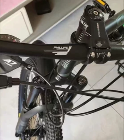 菲利普软尾山地车自行车成人越野双减震变速男...