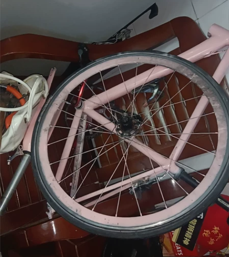 喜德盛公路自行车 自己改的涂装 买车架带夹...