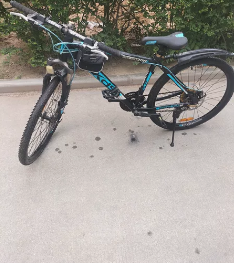 正品喜德盛山地车旅行车全车铝合金变速24全...