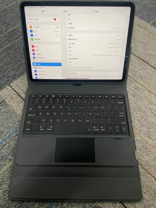 iPad Pro 2021款 11寸 M1
