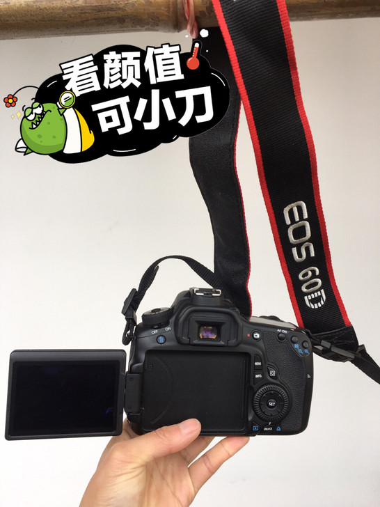 佳能EOS 60D套机专业数码单反啥都有!...