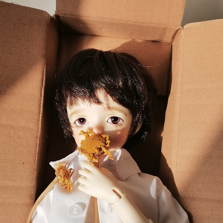【bjd】fc  四分二段体 雨果 普肌