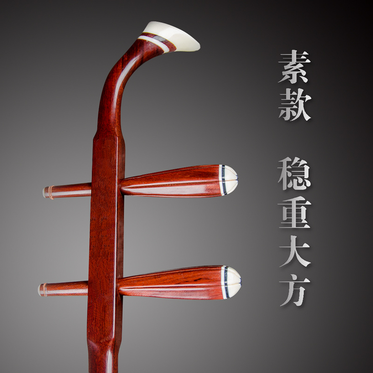 天乐 二胡