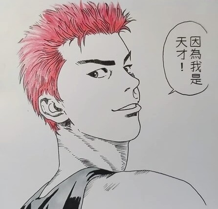 灌篮高手 樱木花道 动漫还原手绘(可定制)...