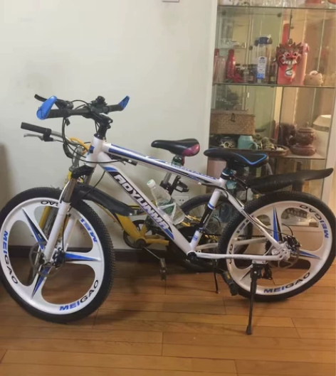 车店不开了，剩下的一批全新山地车高档自行车...
