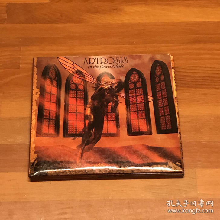 摇滚乐：Artrosis波兰前卫摇滚乐队C...