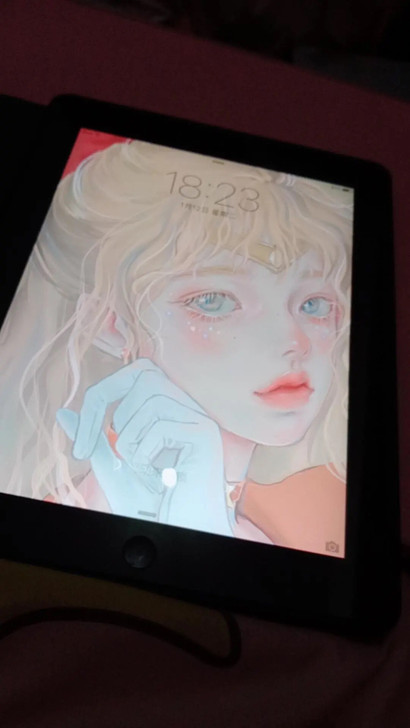 苹果iPad2 个人闲置 闺蜜叫我帮处理 ...