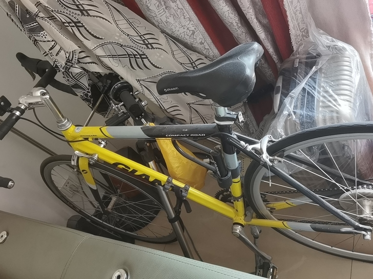 16速捷安特公路车