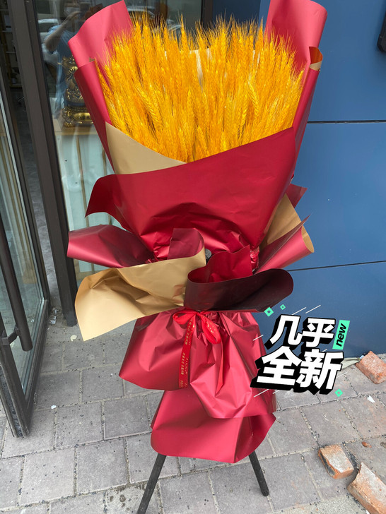 几乎全新大麦花篮 开业用了一天 就一个 一...