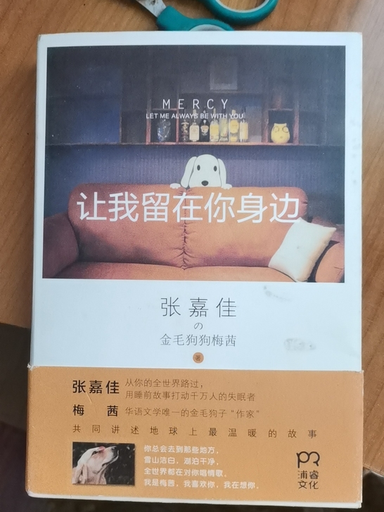 【正版包邮】让我留在你身边 张嘉佳 青春...