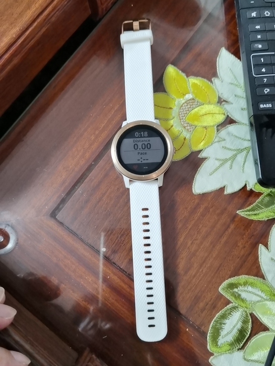 Garmin/佳明 户外功能手表