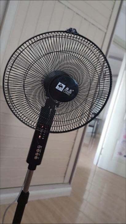 【清仓处理】处理十几台电风扇   落地扇 ...