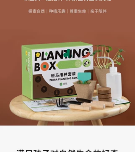 斑马播种套装 孩子很喜欢玩，种子几天就发芽...