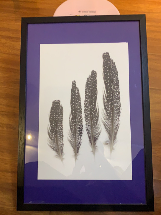 美间购入400*600布面喷绘装饰画