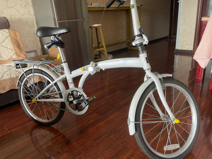 捷安特折叠自行车,20寸,非常结实,功能正...