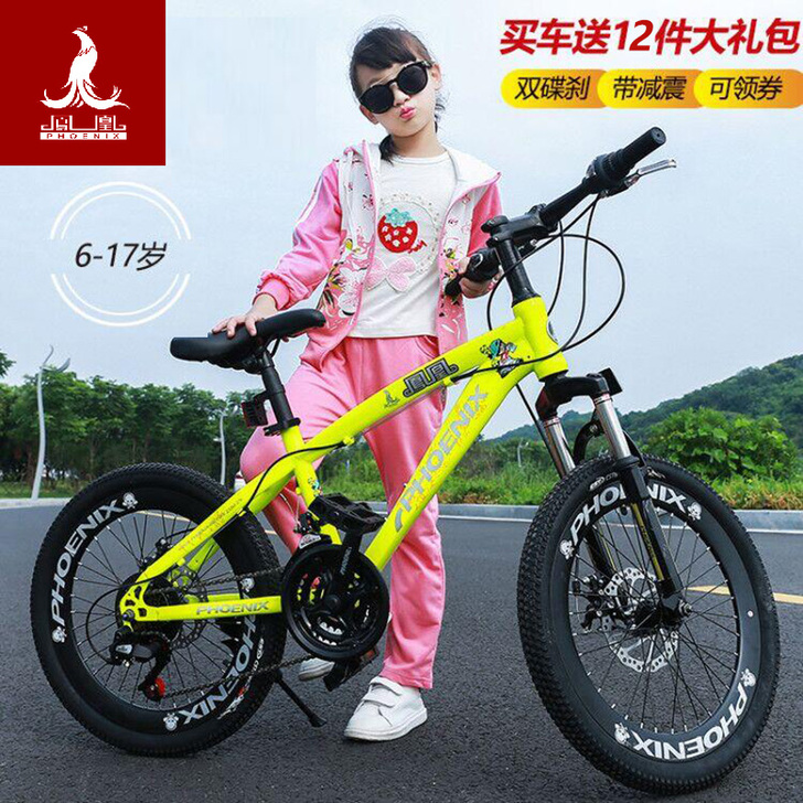 Phoenix/凤凰 自行车