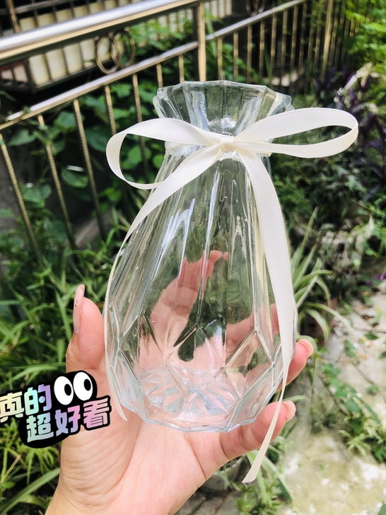 创意花瓶玻璃透明水养客厅摆件鲜花插花
