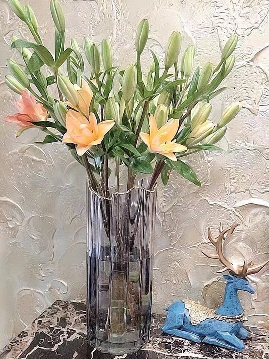 全新描金玻璃花瓶轻奢透明插花花瓶客厅装饰花...