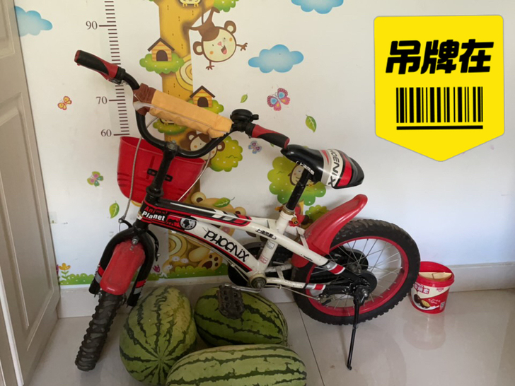 Phoenix/凤凰6-9岁小朋友可以使用