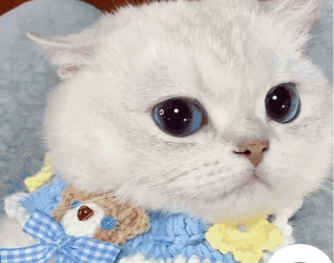 【早睡提醒 拒绝熬夜】 准时的早睡提醒，给...