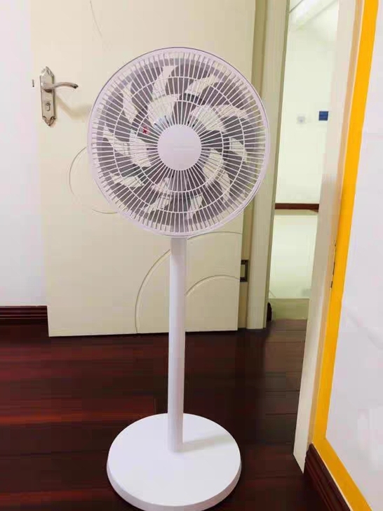 识货的来，全新家用长虹电风扇落地扇处理了