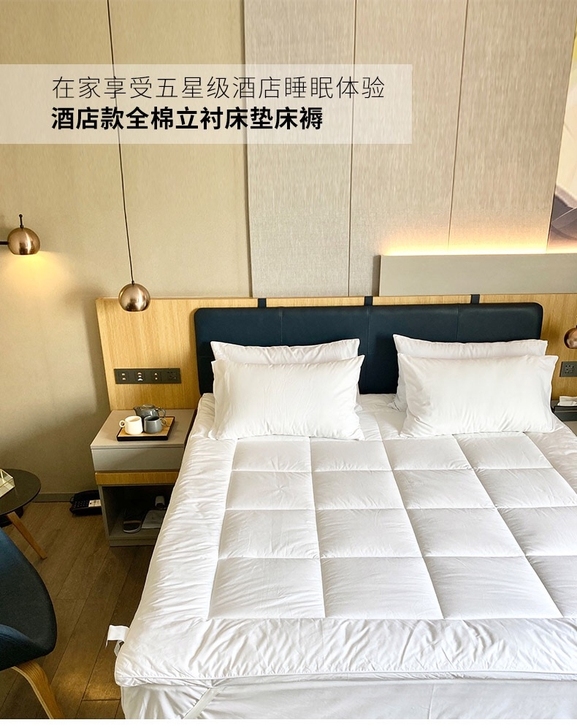 无印床垫 良品纯棉立称床垫床褥 四季床垫 ...