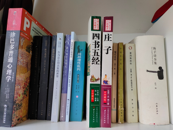 出书  康德 雪莱 尼采 叔本华 庄子 瓦...