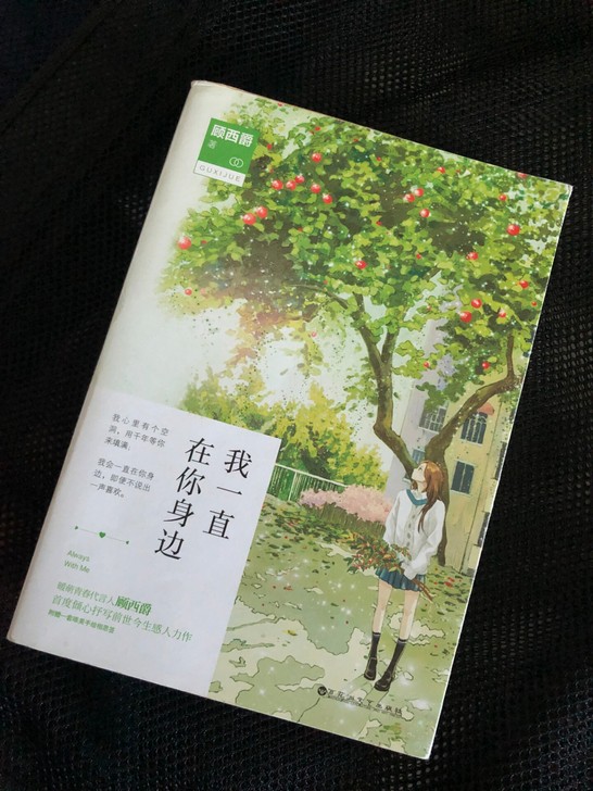 顾西爵的小说,看过一两次,在新华书店买的正...