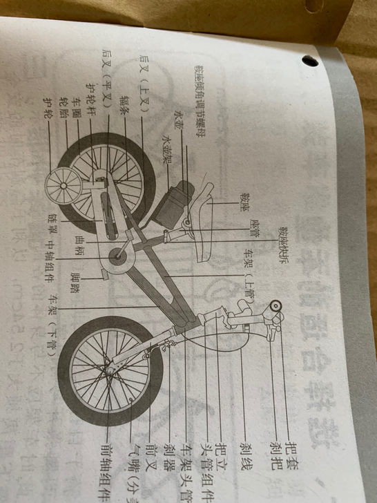 凤凰自行车，12寸，小洋人-12。蓝色全新...