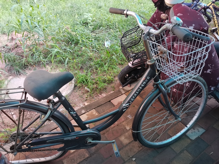 上海凤凰自行车