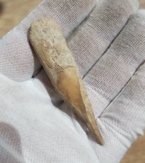 红山文化石器时代骨头件包真包老。 感兴趣的...
