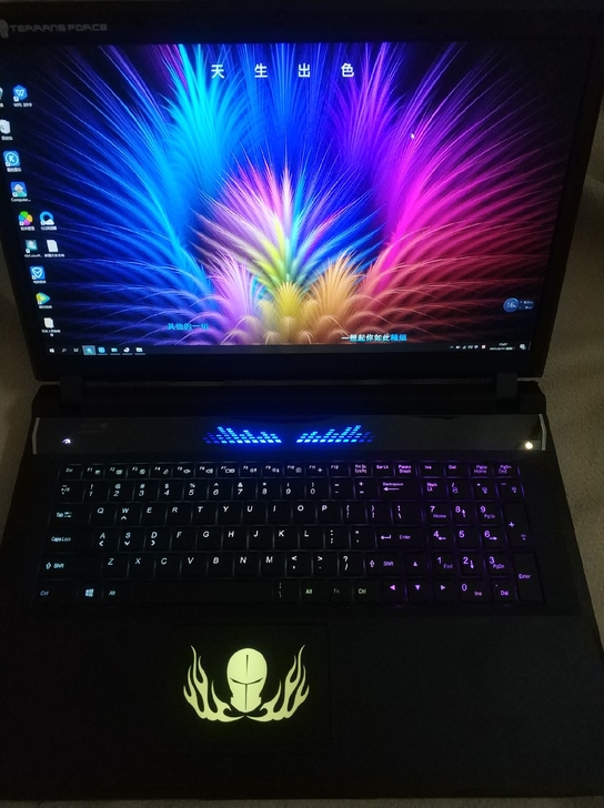 17寸gtx970酷睿i7i7 16g吃鸡...