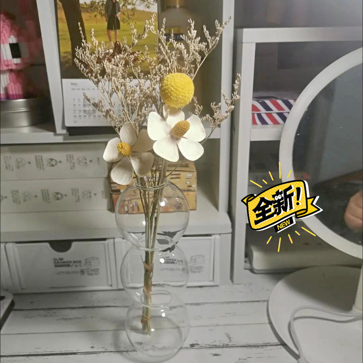 透明球花瓶水样插花花瓶客厅摆件小众摆件拍照...