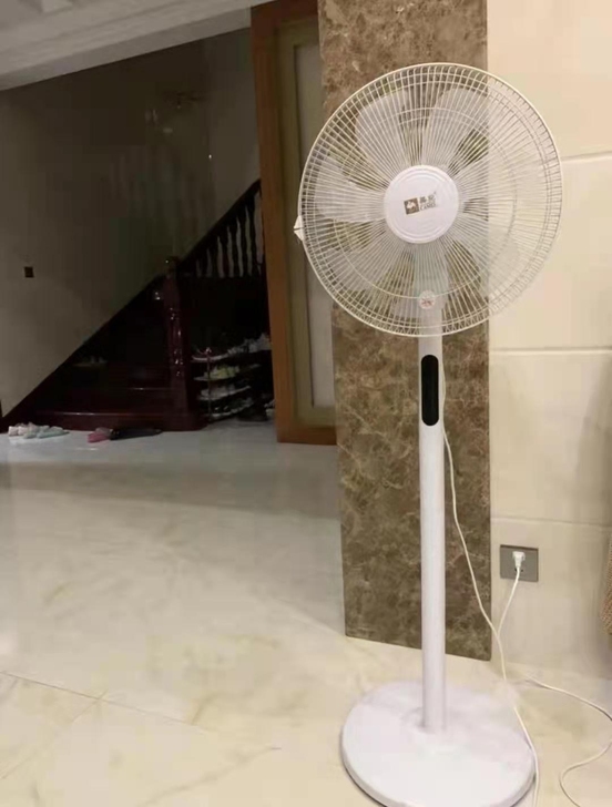 亏本出3台电风扇落地扇宿舍风扇家用电风扇办...