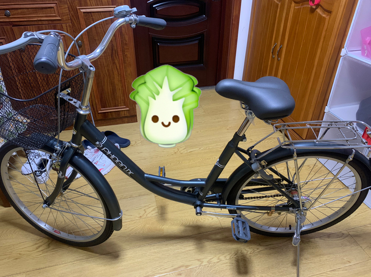 正品凤凰通勤女式24寸自行车，自骑购入，今...
