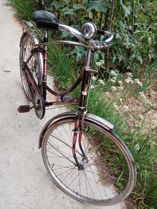 凤凰750型26轻便女式自行车