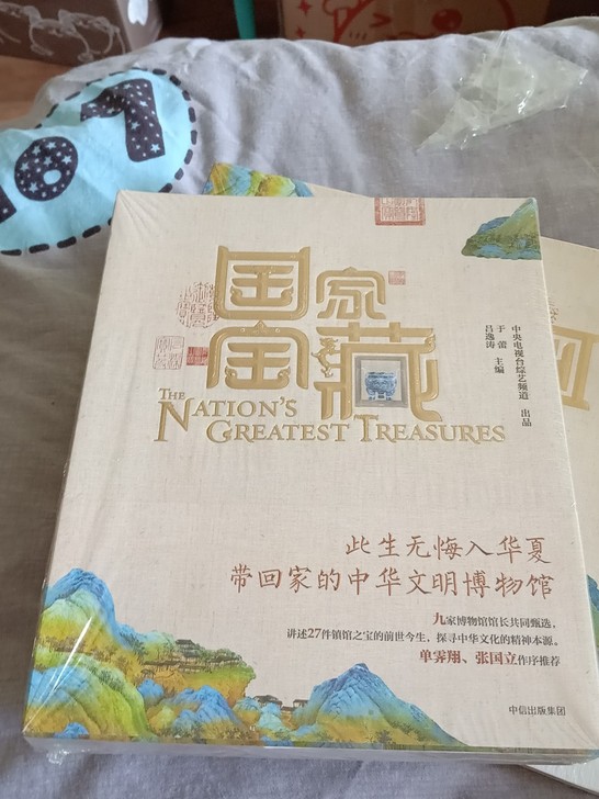 国家宝藏 中信出版社图书 书籍