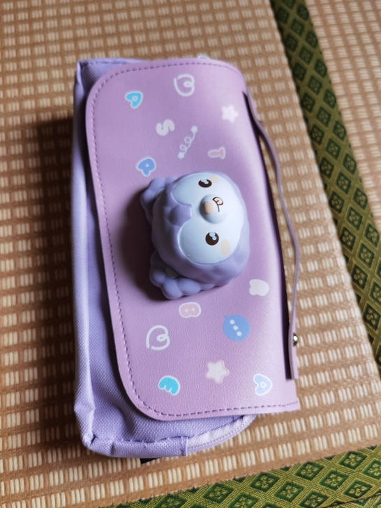 减压笔袋,非常好看的紫色,全新