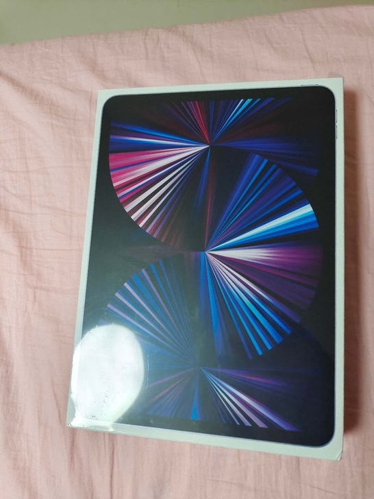ipad Pro 2021款 wlan版 ...