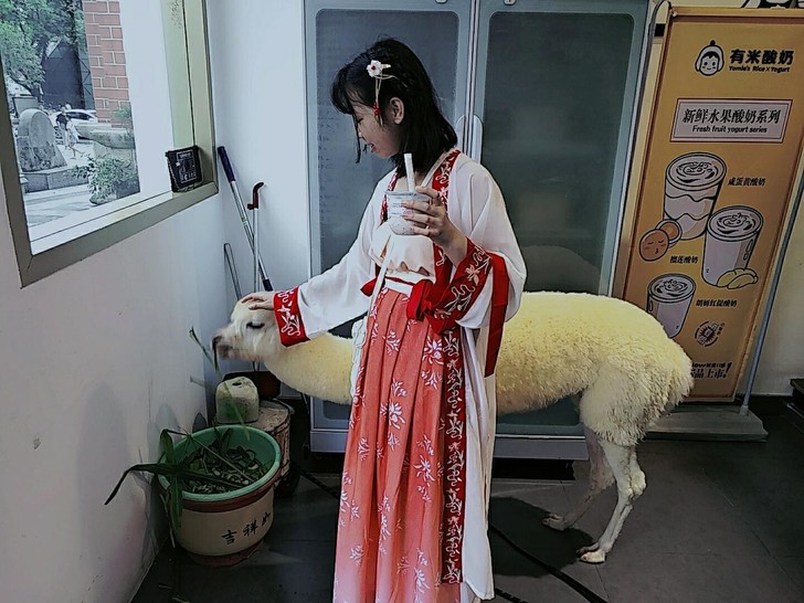 汉服女包邮全新【烟芜】汉服女正品宋制原创刺...