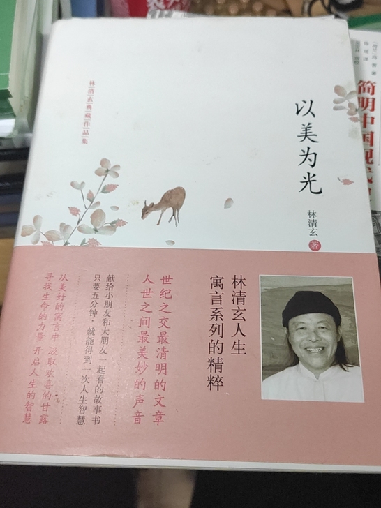 林清玄的以美为光,九成新