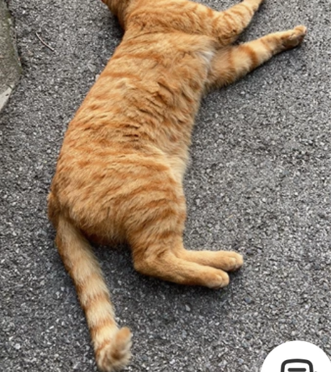 音乐剧赵氏孤儿 珠海大剧院 10.15 午...