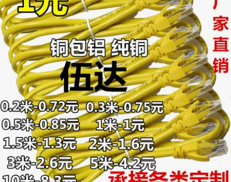 0.2米2米3米短成品网线超5五类网络跳