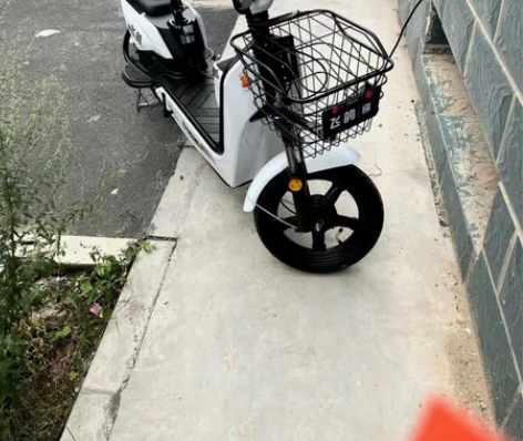 飞鸽新国标电动车成人电动自行车48V小型电...