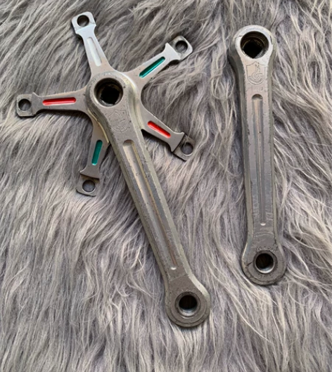 凹刻盾标165腿长CP Campagnol...