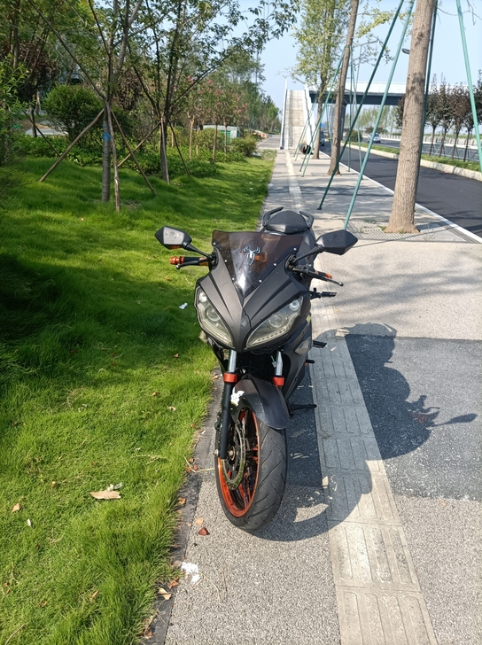 经典地平线跑车摩托车,宗申250cc动力,...