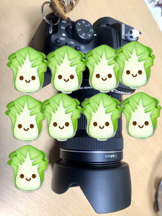 相机单反 闲置相机 佳能850d 能量 学...