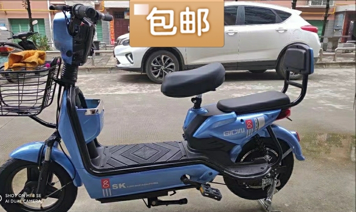 全新 实体店不做了急售一批全新两轮电瓶车家...