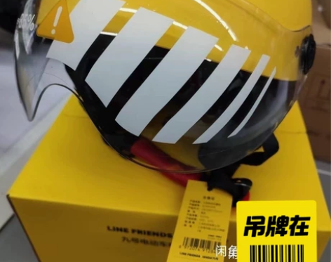 九号号电动布朗熊，莎莉鸡，正品头盔，全新未...