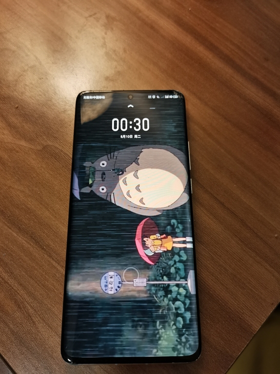 Meizu/魅族 18 Pro